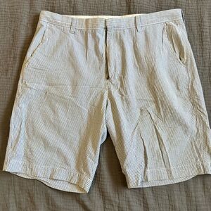 J. Crew Men's Blue Striped Shorts 9”